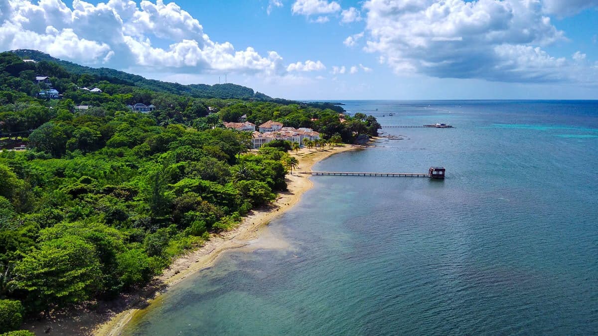 The coast near the house, from the air