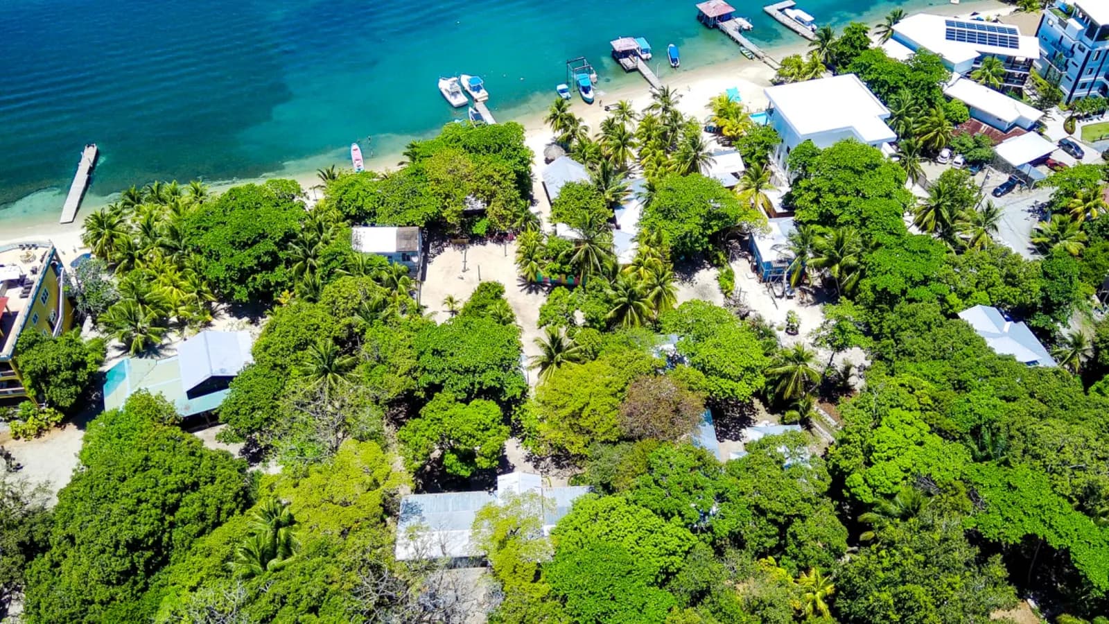 Blue Horizon Studios and the West End shore, from the air